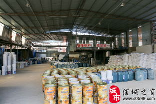 建筑涂装新篇章 福建省浦城石尚涂料厂引领建材绿色革命
